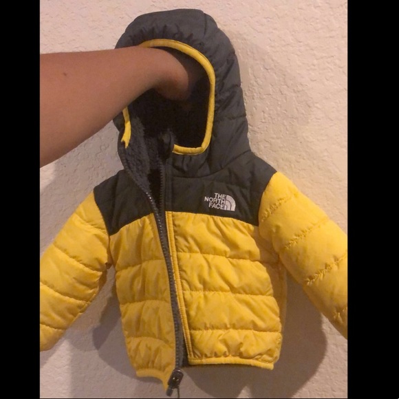 baby north face coat